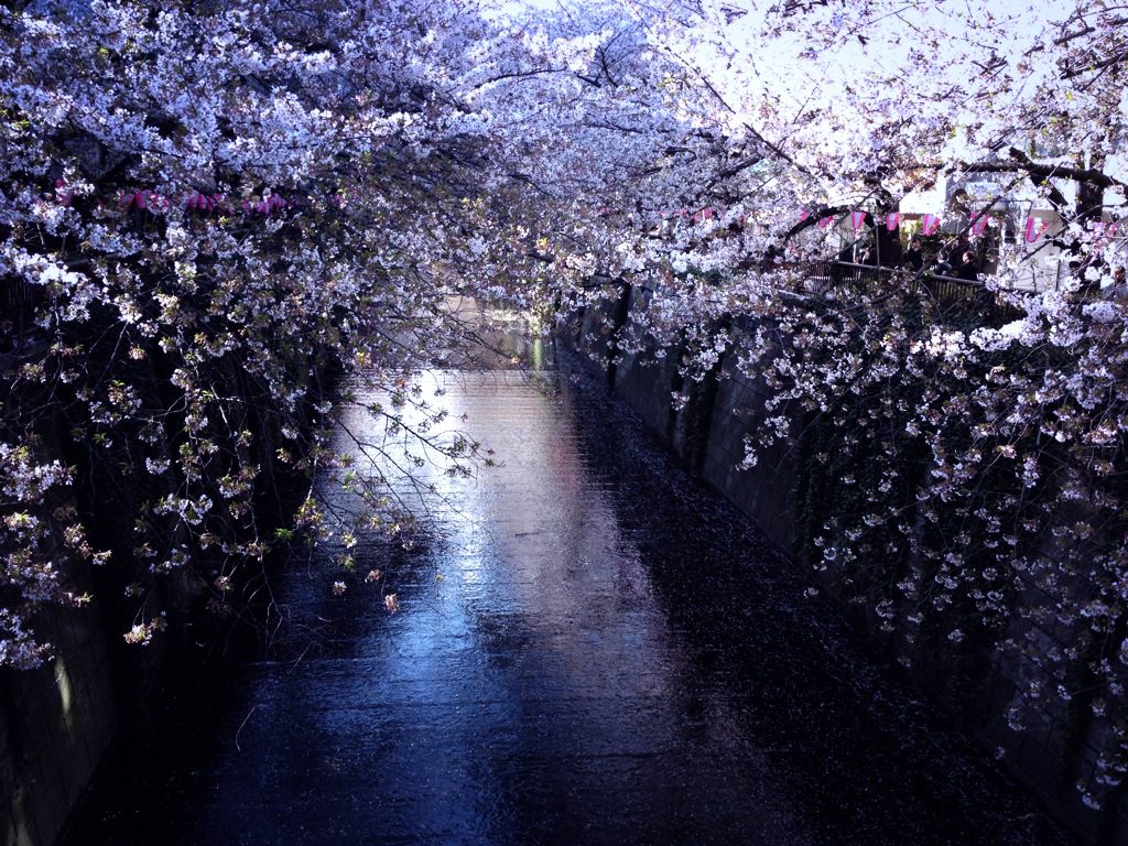 B568CFE7-18F9-4F6A-BAEF-6539A1CA4C6F